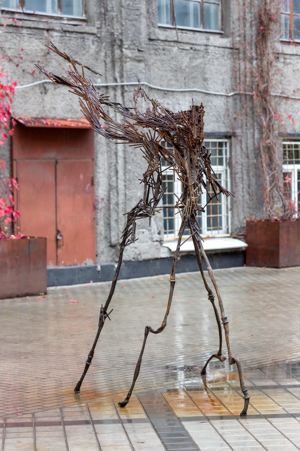 выставки спб фото